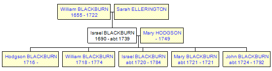 Mini tree diagram